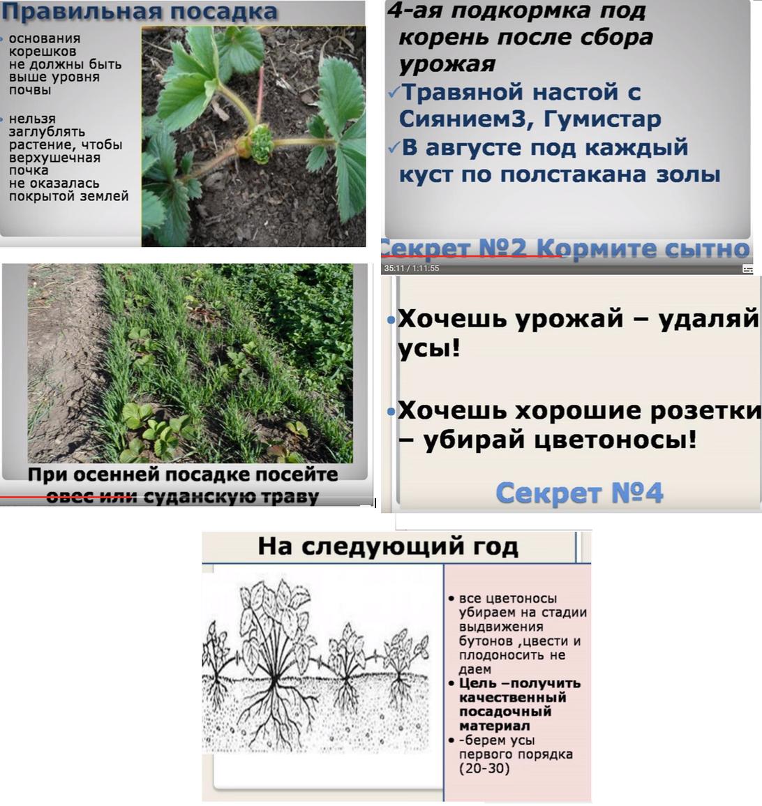 attachment.php?attachmentid=581625&stc=1&d=1504182145