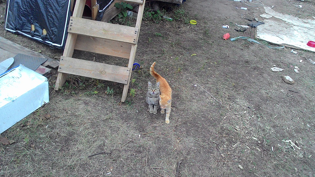 attachment.php?attachmentid=585642&stc=1&d=1507028464