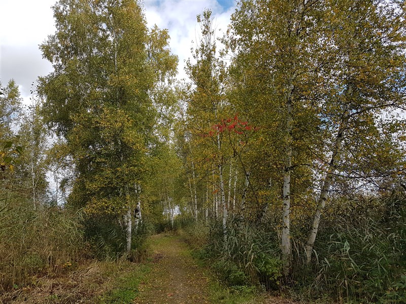 attachment.php?attachmentid=586257&stc=1&d=1507519102