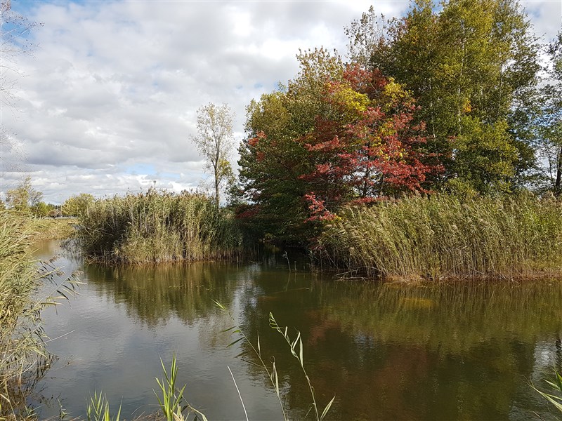 attachment.php?attachmentid=586258&stc=1&d=1507519105