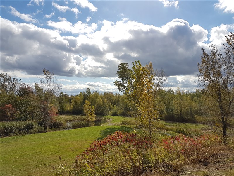 attachment.php?attachmentid=586259&stc=1&d=1507519109