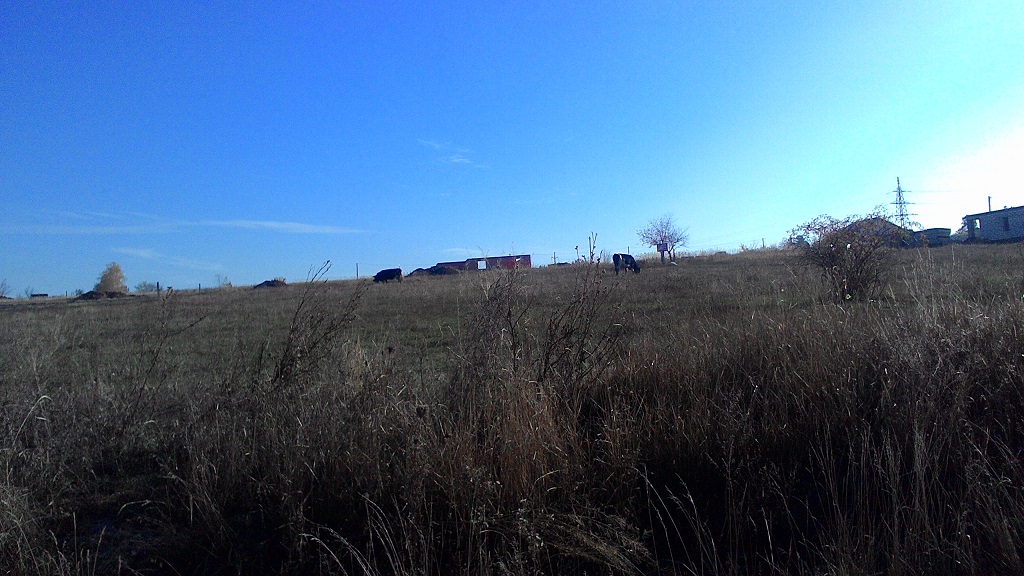 attachment.php?attachmentid=588133&stc=1&d=1508748917