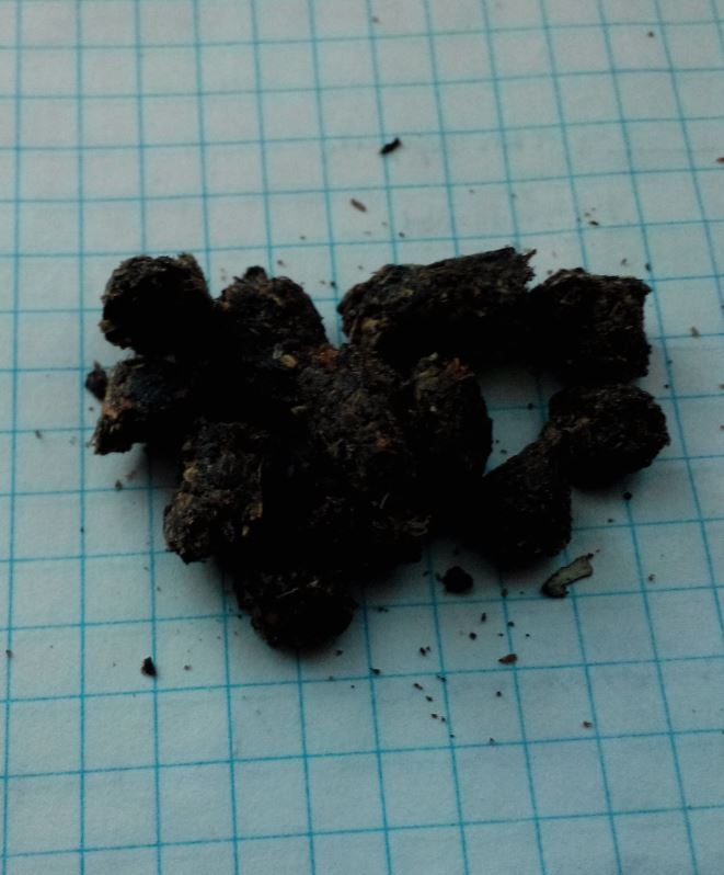 attachment.php?attachmentid=591329&stc=1&d=1511117713