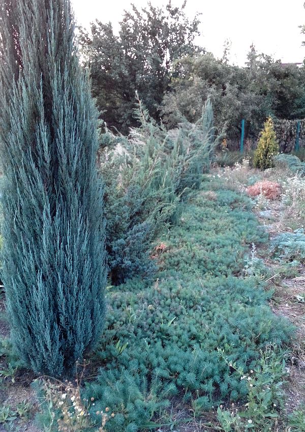 attachment.php?attachmentid=593154&stc=1&d=1512294631