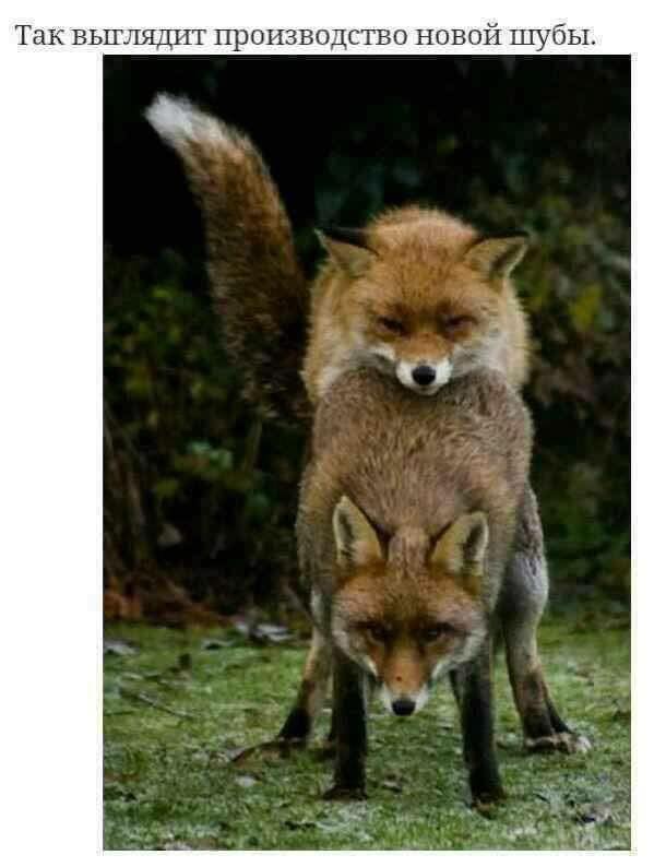 attachment.php?attachmentid=594143&stc=1&d=1512991425