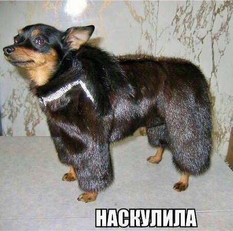 attachment.php?attachmentid=594520&stc=1&d=1513178964