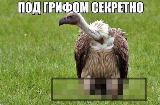 attachment.php?attachmentid=595349&stc=1&d=1513625107