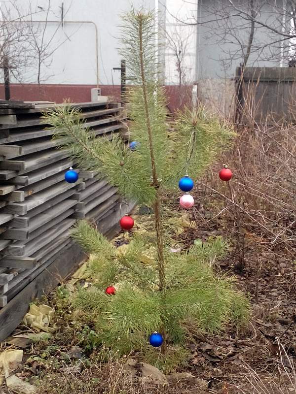 attachment.php?attachmentid=596753&stc=1&d=1514724563