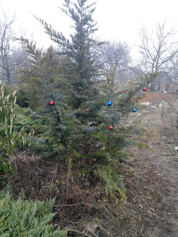 attachment.php?attachmentid=596754&stc=1&d=1514724582