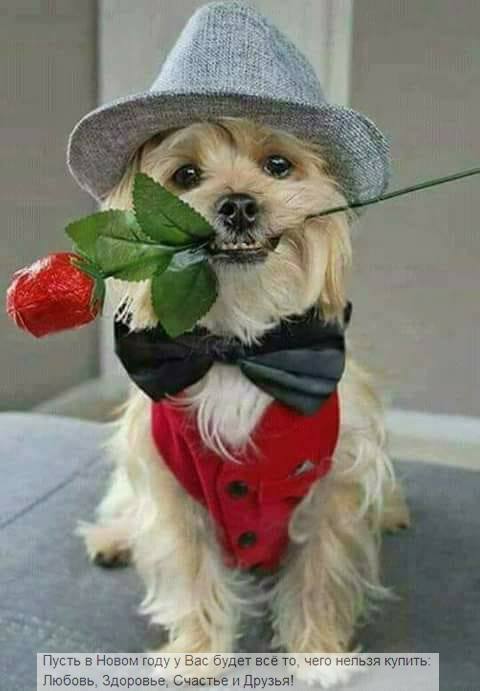 attachment.php?attachmentid=598399&stc=1&d=1515939681