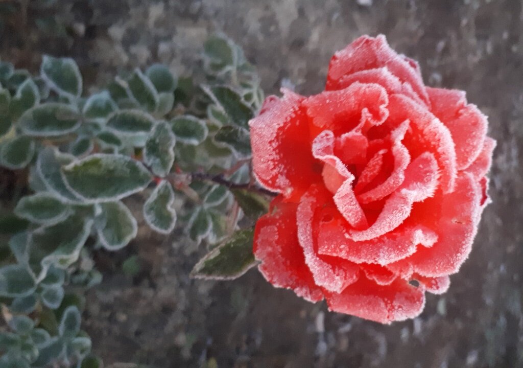 attachment.php?attachmentid=598936&d=1516183075