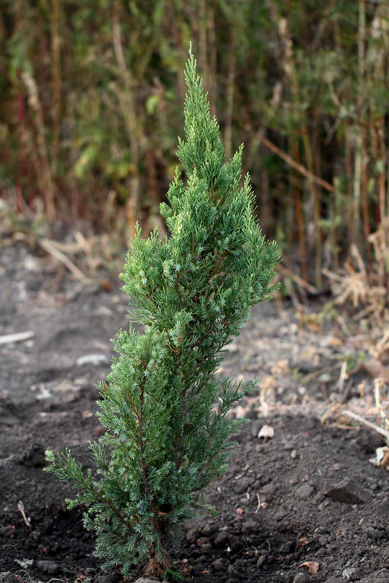 attachment.php?attachmentid=601474&stc=1&d=1517492553