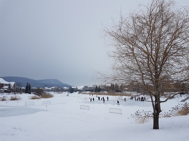 attachment.php?attachmentid=603323&stc=1&d=1518469900