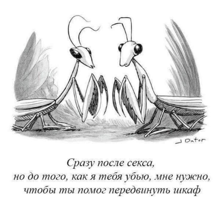 attachment.php?attachmentid=603677&stc=1&d=1518701411