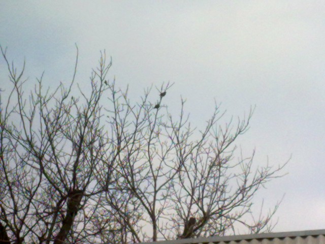 attachment.php?attachmentid=604639&stc=1&d=1519305458