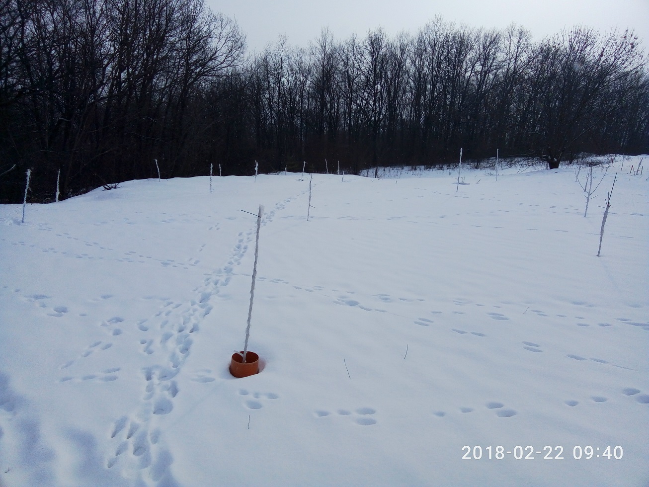 attachment.php?attachmentid=604769&stc=1&d=1519313838