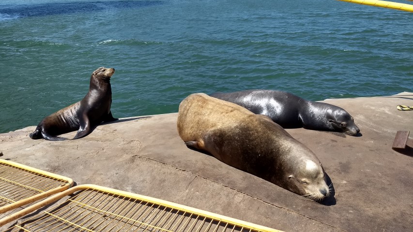 attachment.php?attachmentid=610458&d=1522448578