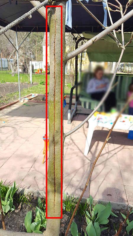 attachment.php?attachmentid=612808&stc=1&d=1523889093