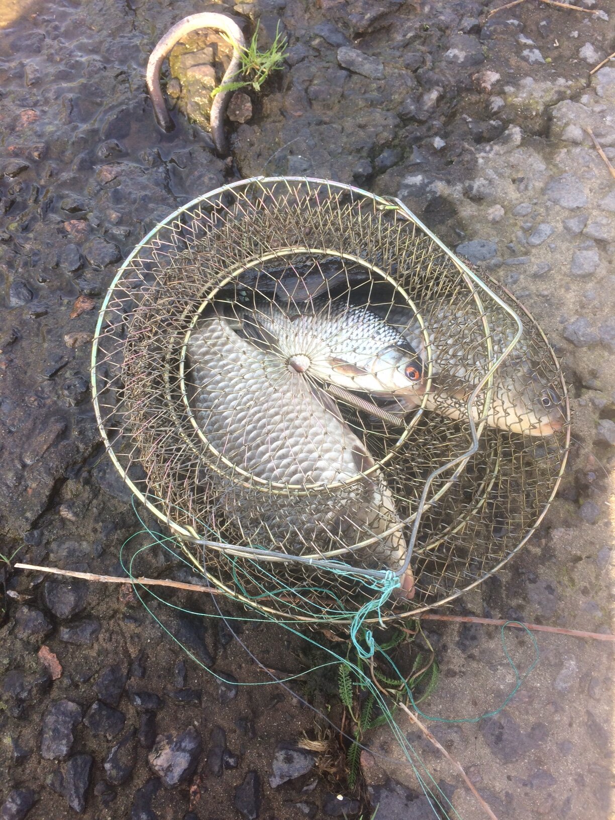 attachment.php?attachmentid=614660&stc=1&d=1525159380