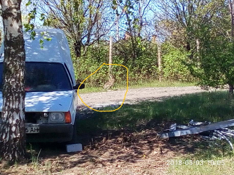 attachment.php?attachmentid=614868&stc=1&d=1525338267