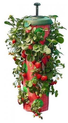 attachment.php?attachmentid=615630&stc=1&d=1525954464