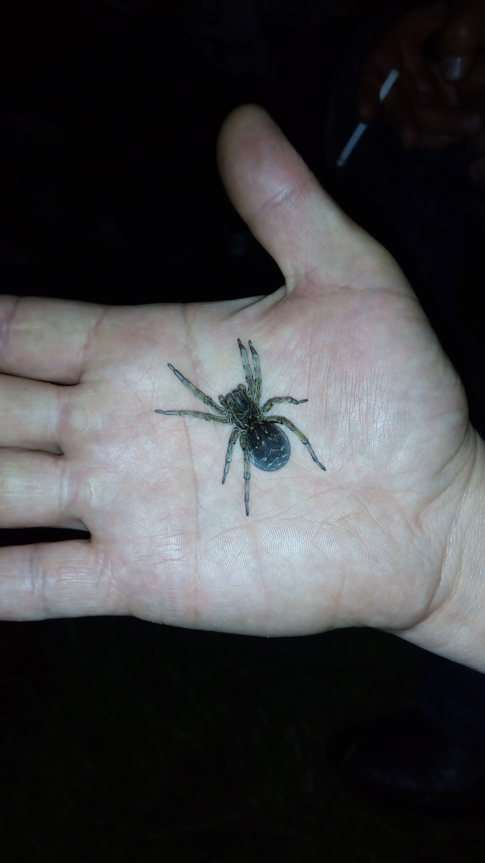 attachment.php?attachmentid=617661&stc=1&d=1527155687