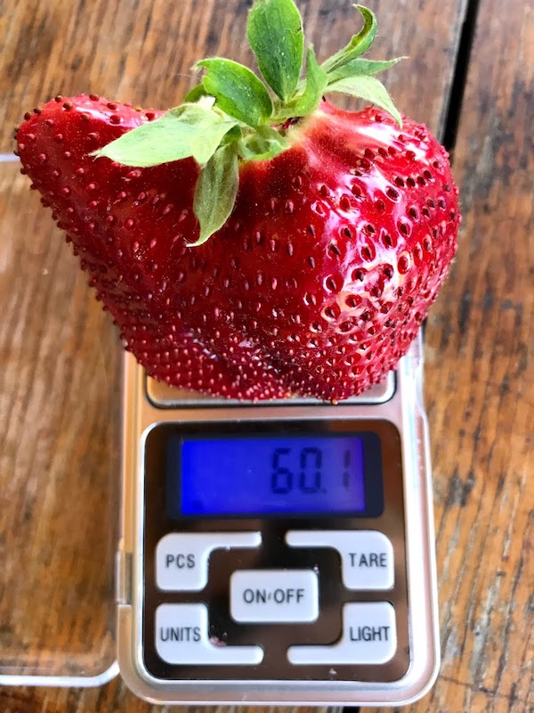 attachment.php?attachmentid=618738&stc=1&d=1527795758