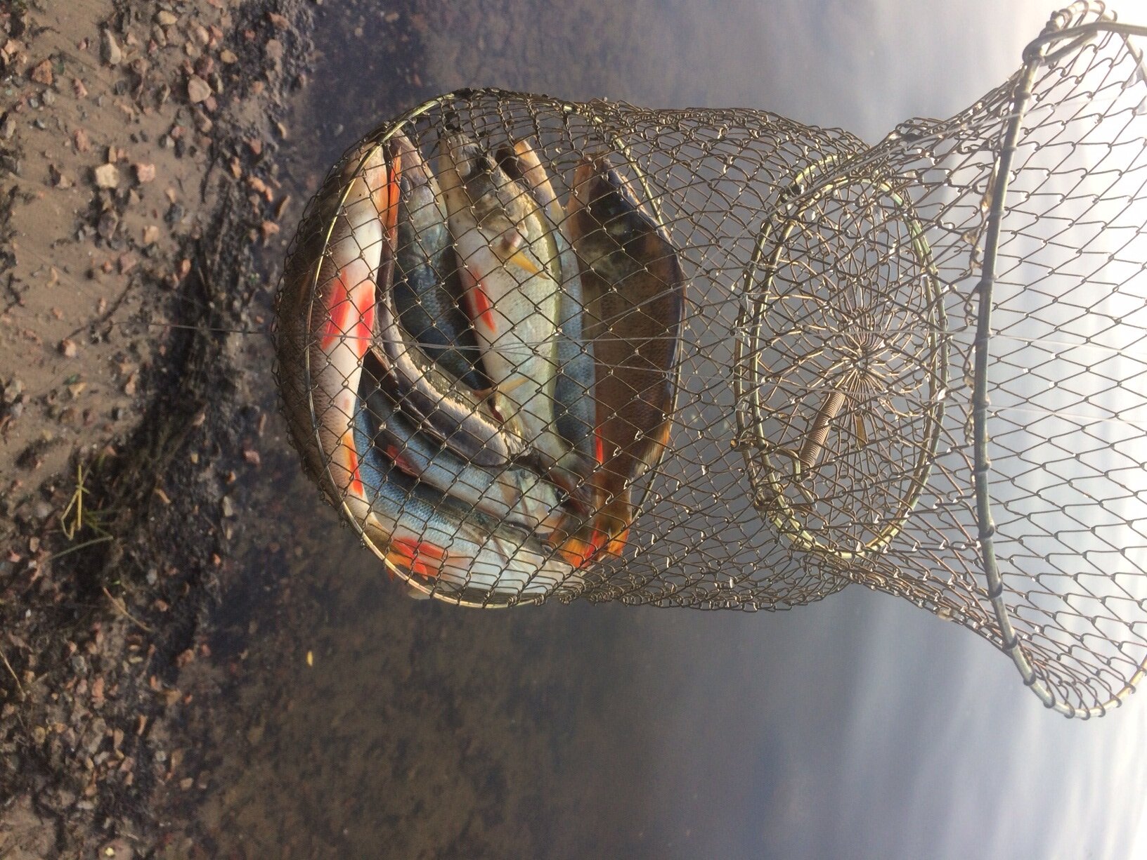 attachment.php?attachmentid=619996&stc=1&d=1528570806