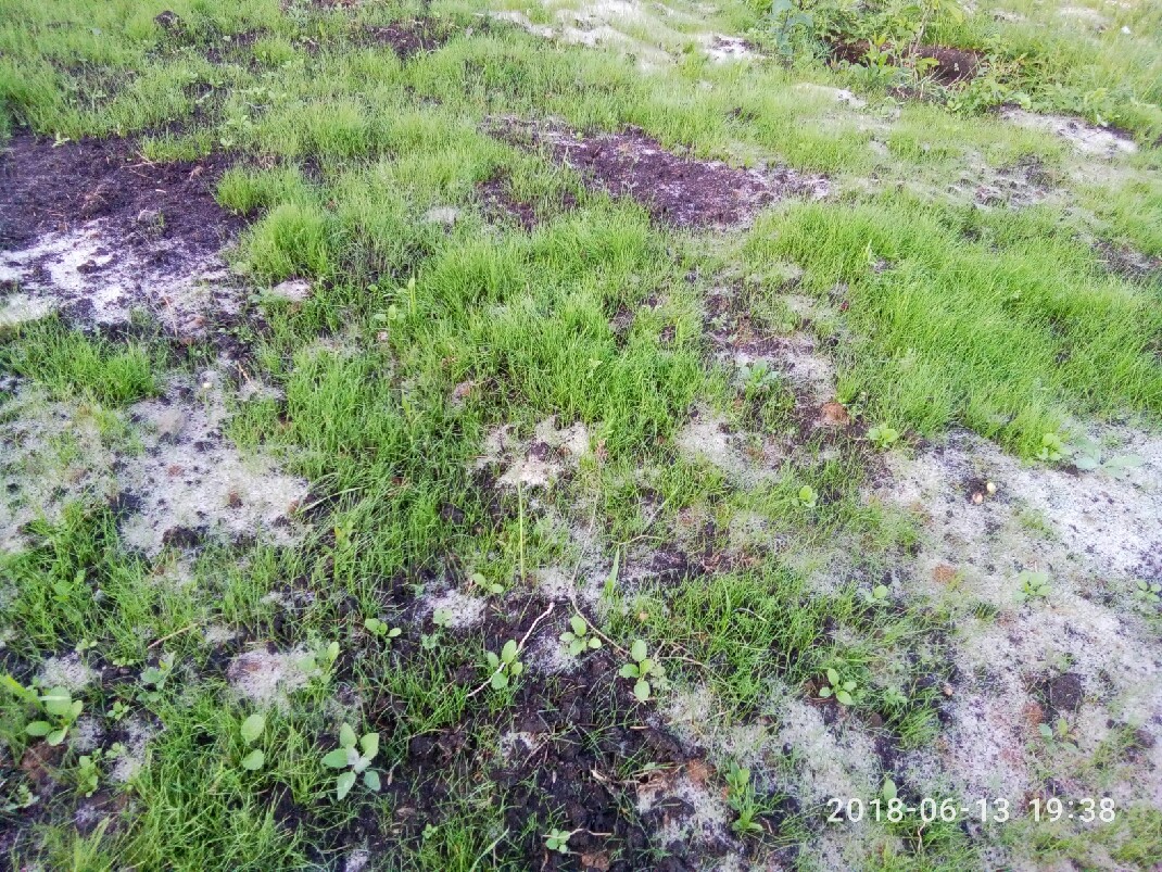 attachment.php?attachmentid=620485&stc=1&d=1528983899