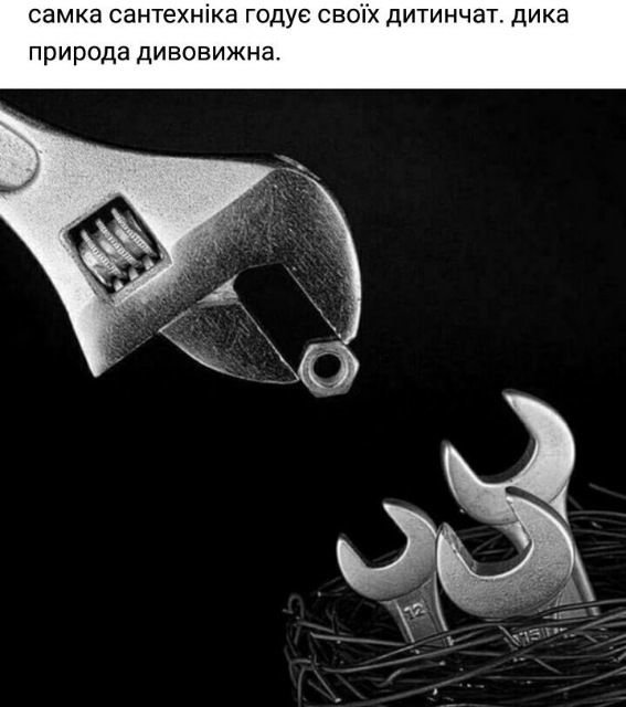 attachment.php?attachmentid=620732&stc=1&d=1529180666