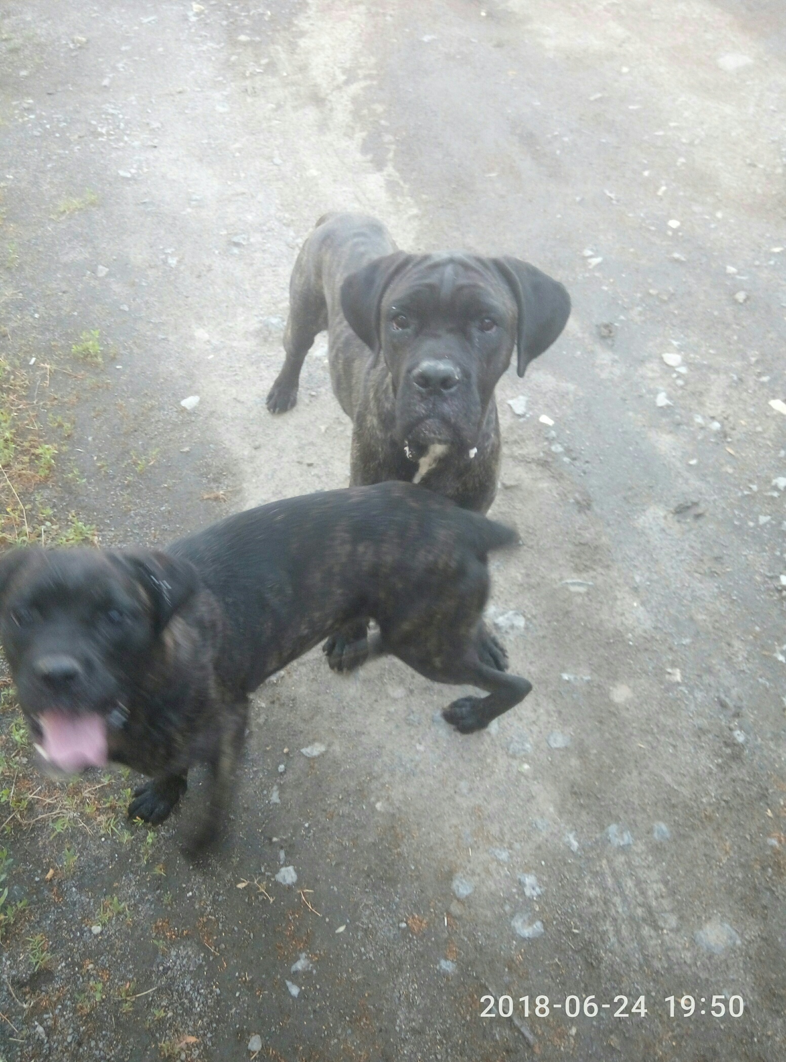 attachment.php?attachmentid=621750&d=1529865233