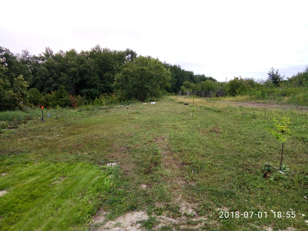 attachment.php?attachmentid=622697&stc=1&d=1530536761