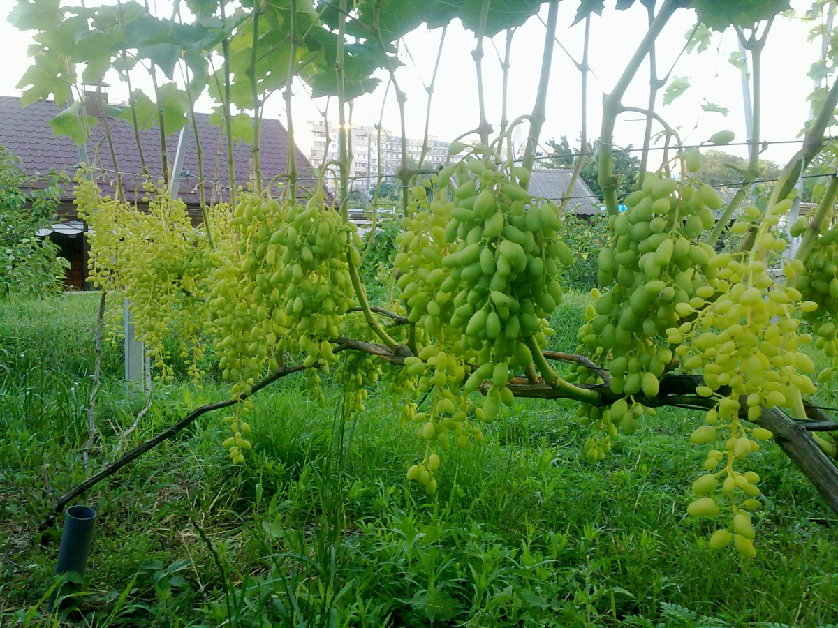 attachment.php?attachmentid=622738&stc=1&d=1530555773