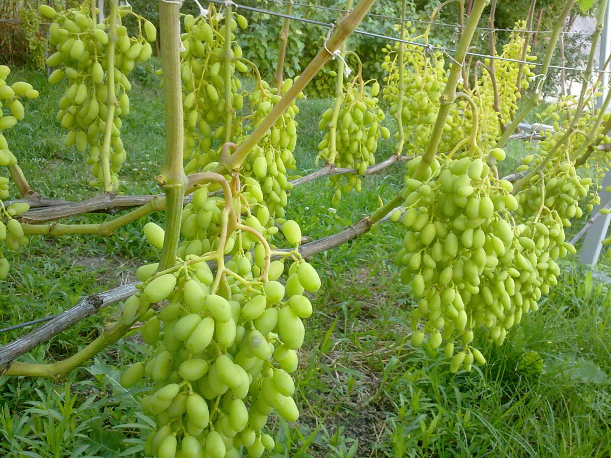 attachment.php?attachmentid=622739&stc=1&d=1530555773