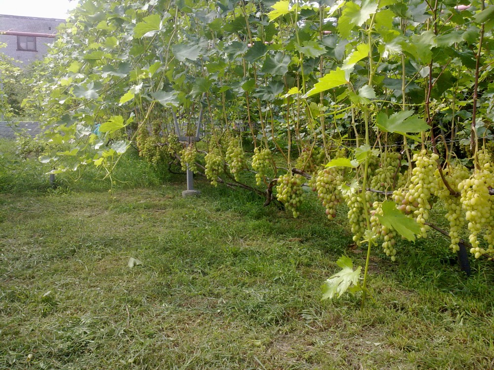 attachment.php?attachmentid=625007&stc=1&d=1532280741