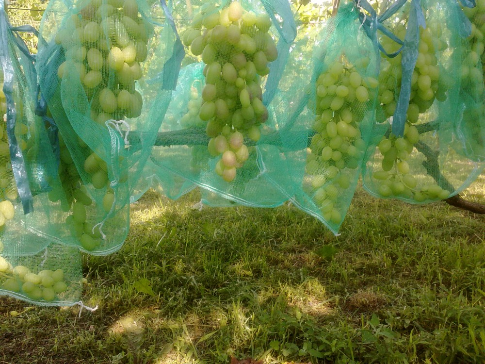 attachment.php?attachmentid=625008&stc=1&d=1532280741