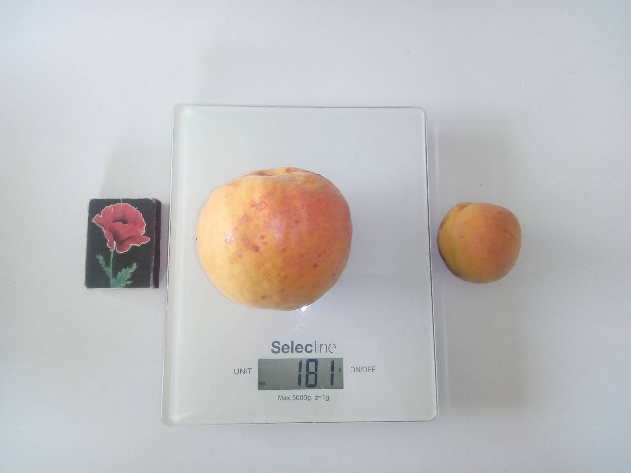 attachment.php?attachmentid=626391&d=1533147817