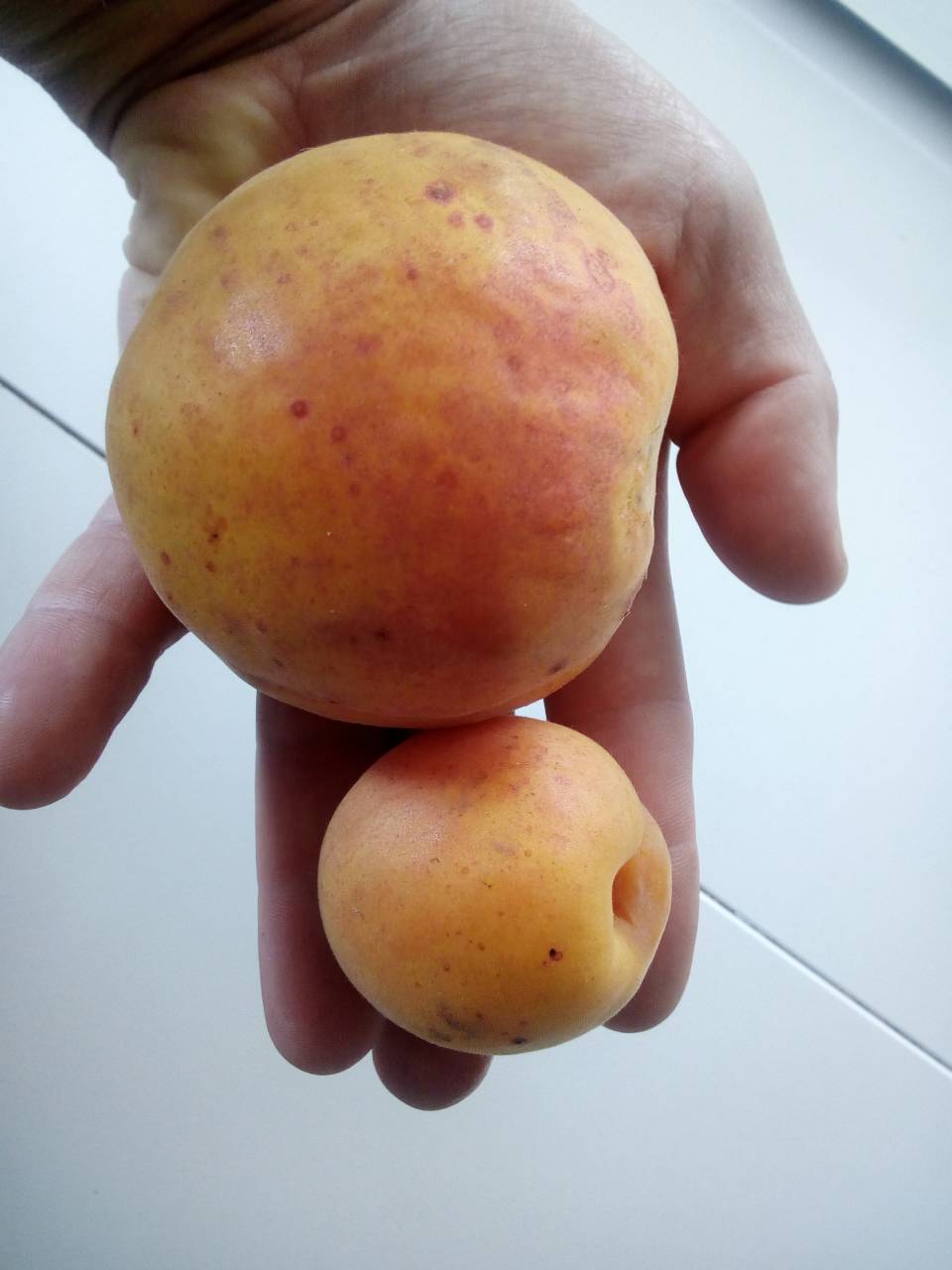 attachment.php?attachmentid=626424&stc=1&d=1533192446