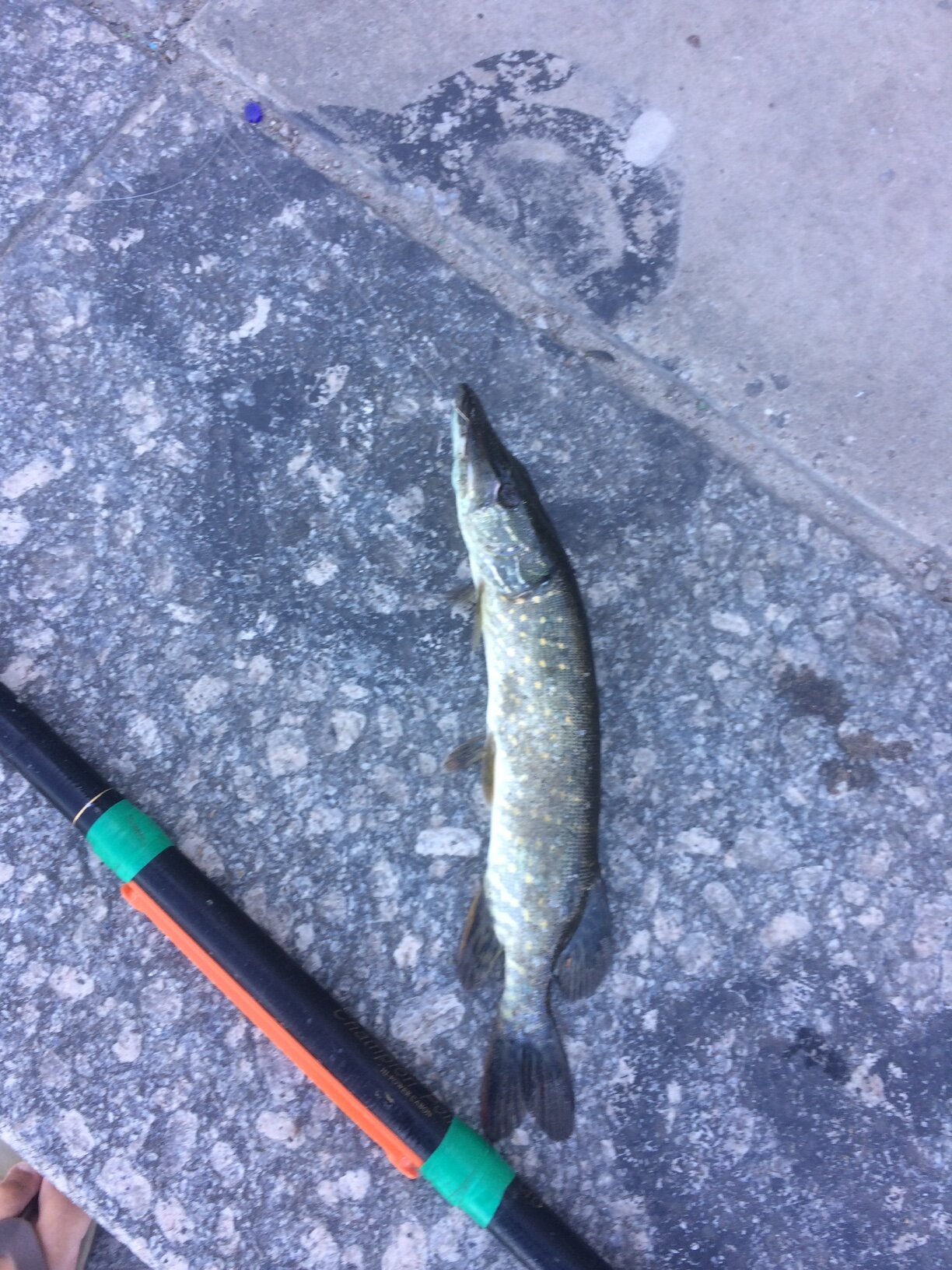 attachment.php?attachmentid=627674&stc=1&d=1534014351