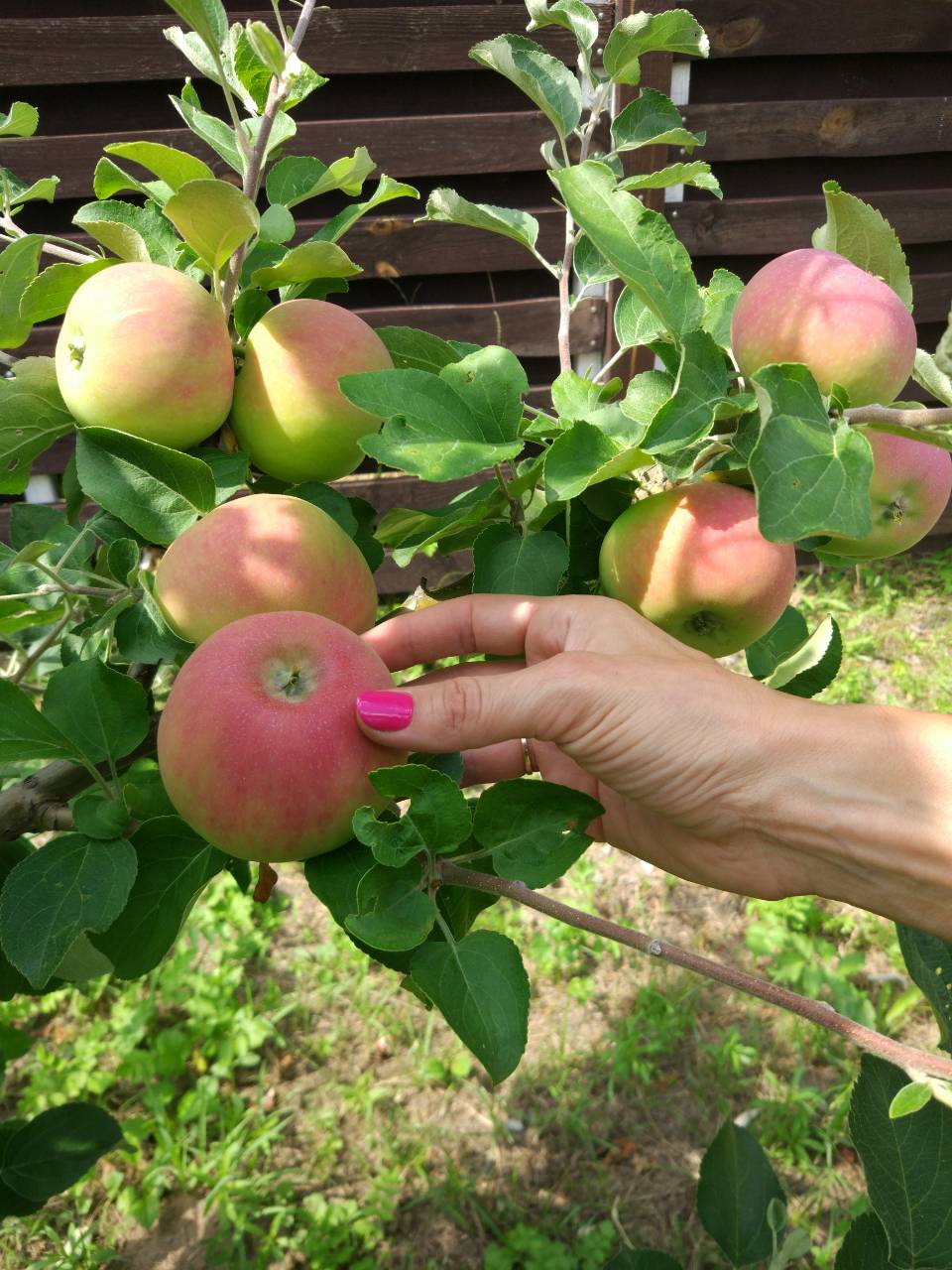 attachment.php?attachmentid=628494&d=1534688536