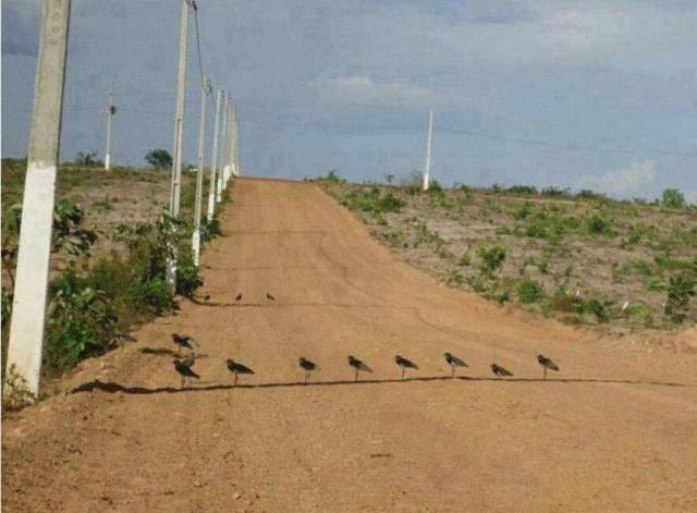 attachment.php?attachmentid=628614&stc=1&d=1534712656