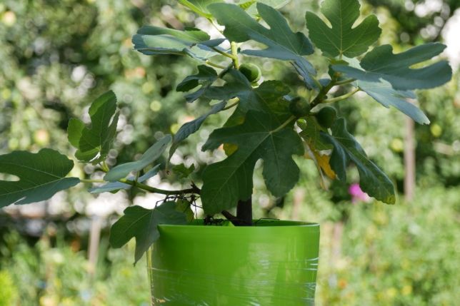 attachment.php?attachmentid=629017&d=1534945401