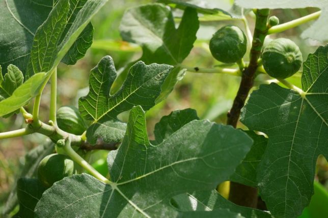 attachment.php?attachmentid=629018&d=1534945641