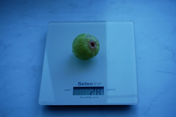 attachment.php?attachmentid=629021&stc=1&d=1534945980