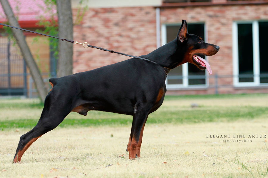 attachment.php?attachmentid=631562&stc=1&d=1536745400