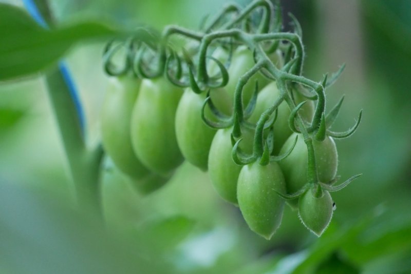 attachment.php?attachmentid=635974&stc=1&d=1539764214