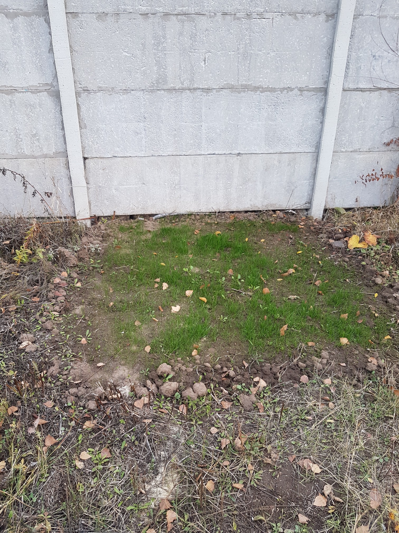 attachment.php?attachmentid=640798&stc=1&d=1543150255