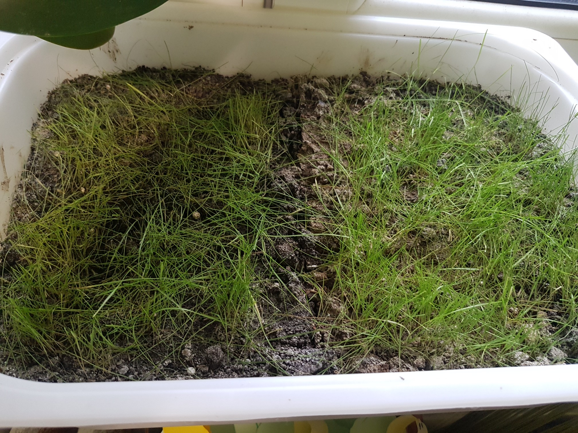 attachment.php?attachmentid=640800&stc=1&d=1543150726