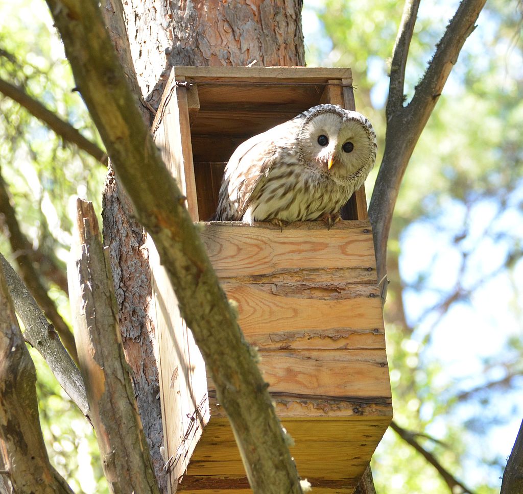 attachment.php?attachmentid=640842&stc=1&d=1543240782