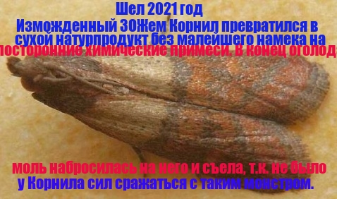 attachment.php?attachmentid=641698&d=1543604256